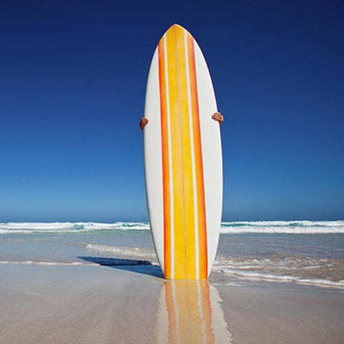 Rent Stand Up Boards Rent Stand Up Boards R250.00 per hour